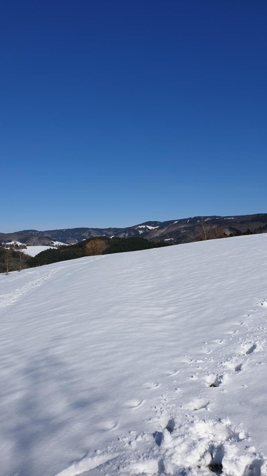 Haus Panorama Mit Alpenblick Villa Kleines Wiesental Luaran gambar